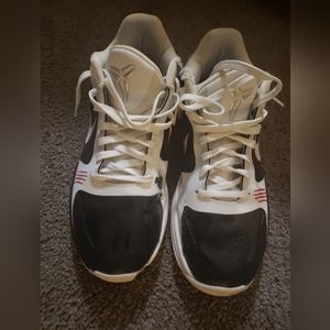 Nike Zoom Kobe 5 Protro 'Alternate Bruce Lee'